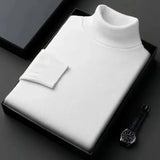 Alwin | Warmer Rollkragenpullover